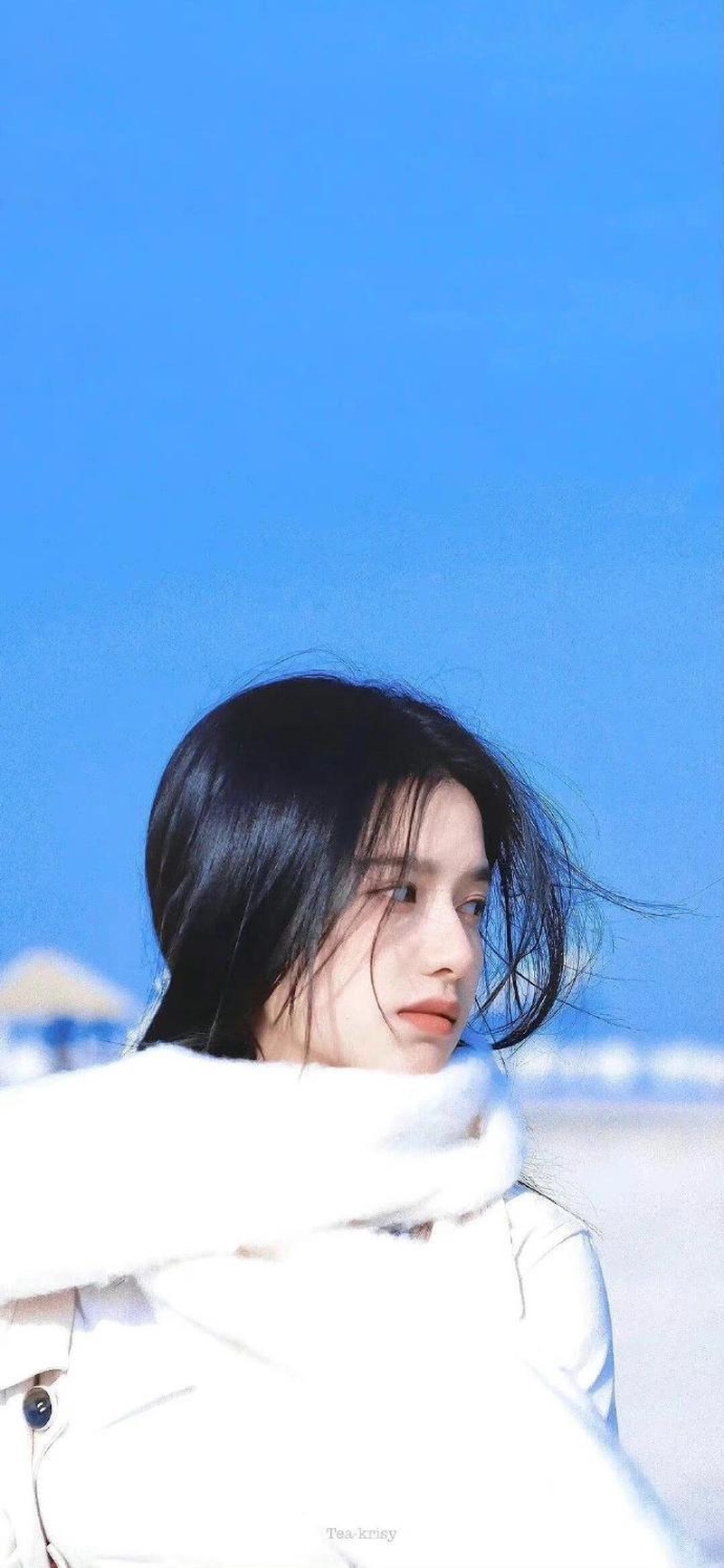 张婧仪